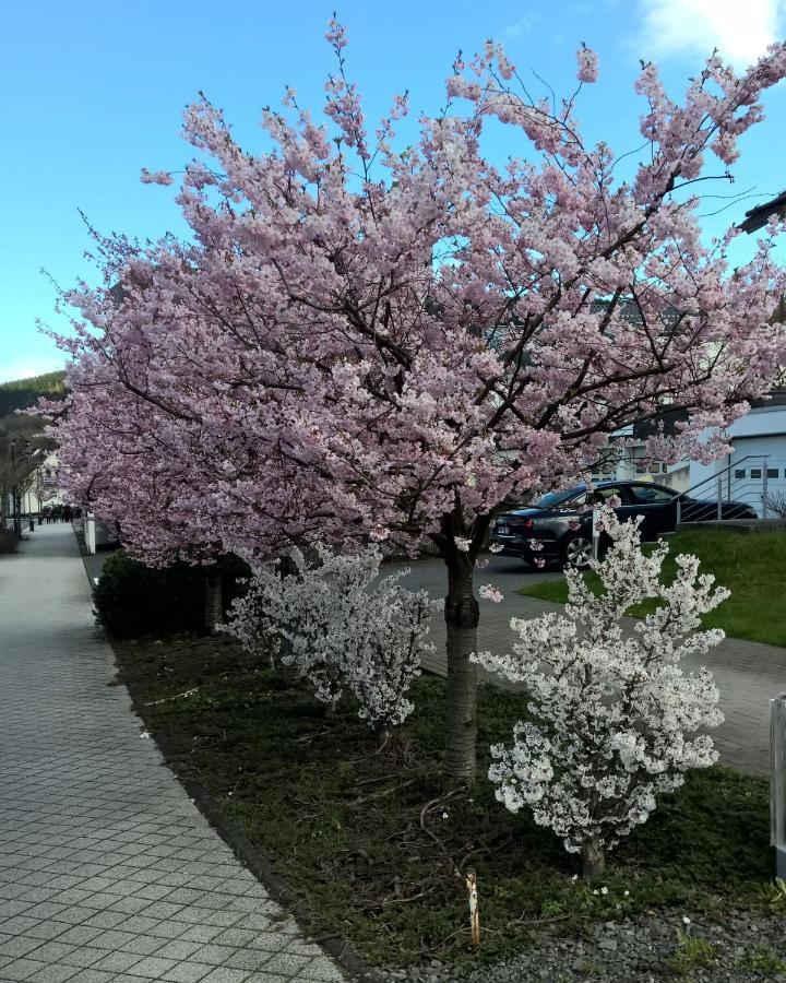 Fewo Altstadt Bl Bad Laasphe Kültér fotó